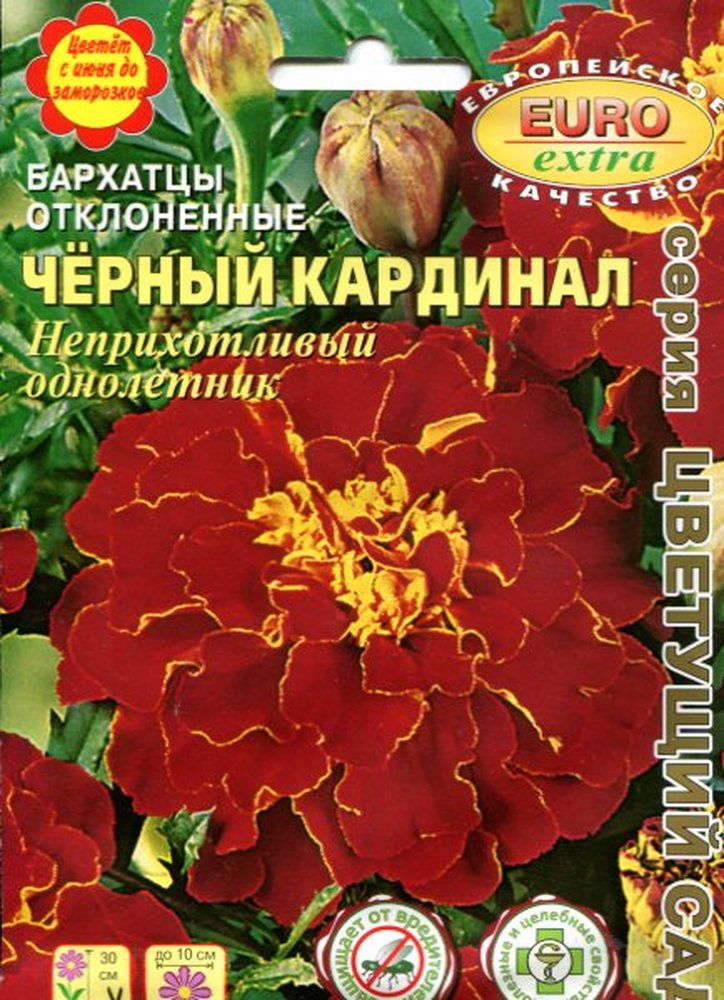 Бархатцы Черный кардинал отклоненные 0,1г (АэлитаЭкстра)