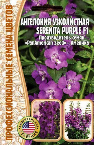 Ангелония Serenita Рurple узколистная F1 однолетник 3шт (Ред.Сем)