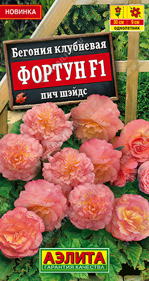 Бегония Фортун F1 пич шэйдс 5шт (Аэлита)