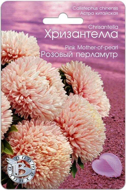 Астра ХРИЗАНТЕЛЛА Розовый перламутр однолетник 30шт (Биотехника)