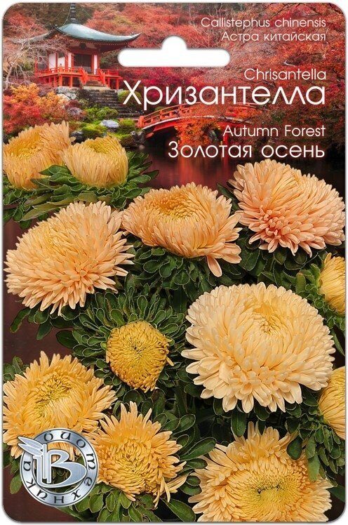 Астра ХРИЗАНТЕЛЛА Золотая осень однолетник 30шт (Биотехника)