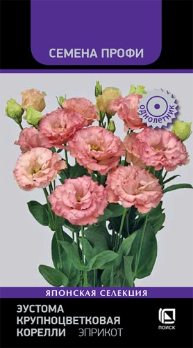 Эустома КОРЕЛЛИ Эприкот Профи крупноцветковая однолетник 5шт (Поиск)