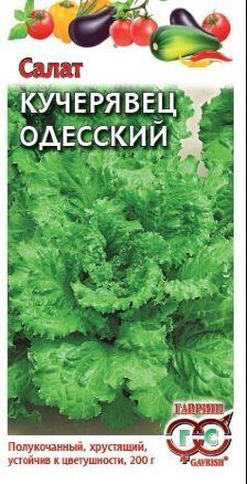 Салат Кучерявец Одесский полукочанный 0,5г (Гавриш)