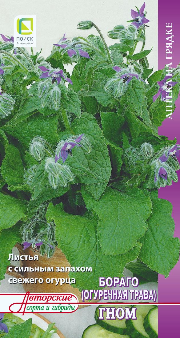 Бораго Гном огуречная трава 0,5г (Поиск)