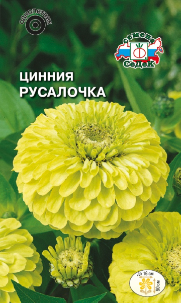 Цинния Русалочка однолетник 0,3г (Седек)