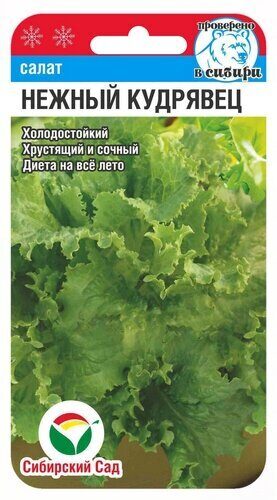 Салат Нежный кудрявец 0,5г (Сиб Сад)