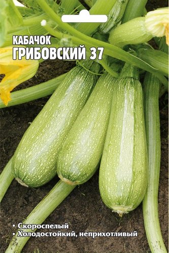 Кабачок Грибовский 37 Большая грядка 30шт (Ред.Сем)