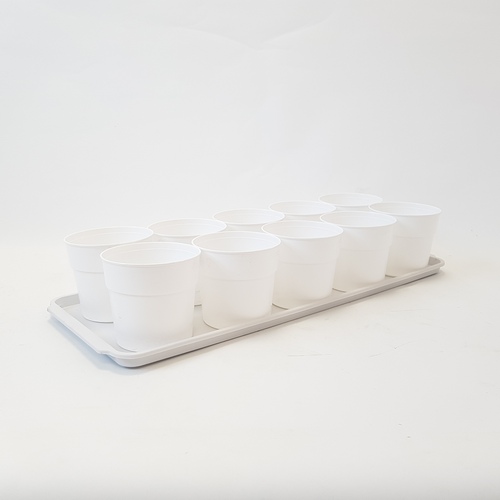 Рассадник 0,5л 10 стаканов+поддон (Симаев)(10шт)