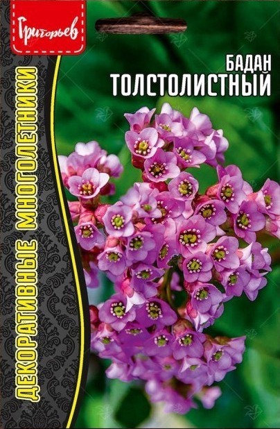 Бадан Толстолистный многолетник 0,01г (Ред.Сем)