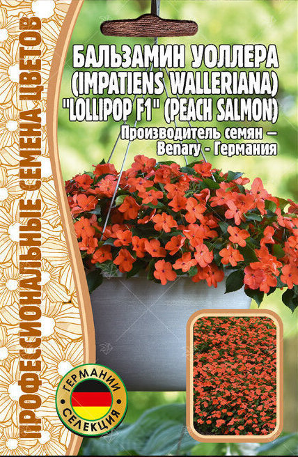 Бальзамин Уоллера лоллипоп персиково-лососевый F1 однолетник 5шт (Ред.Сем)