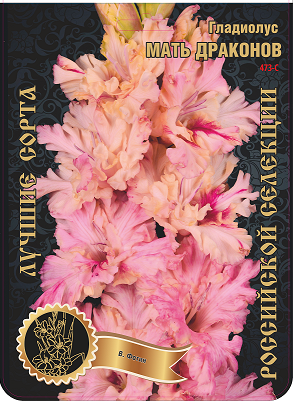 Гладиолус Мать Драконов (В-15-310) 473,Фотин 1 р-р 1шт (Ф)