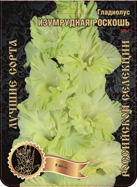 Гладиолус Изумрудная Роскошь 505,Фотин 1 р-р 1шт (Ф)