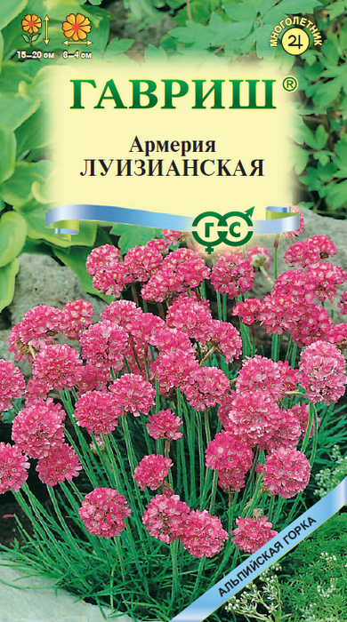 Армерия Луизианская Альпийская горка 0,02г (Гавриш)