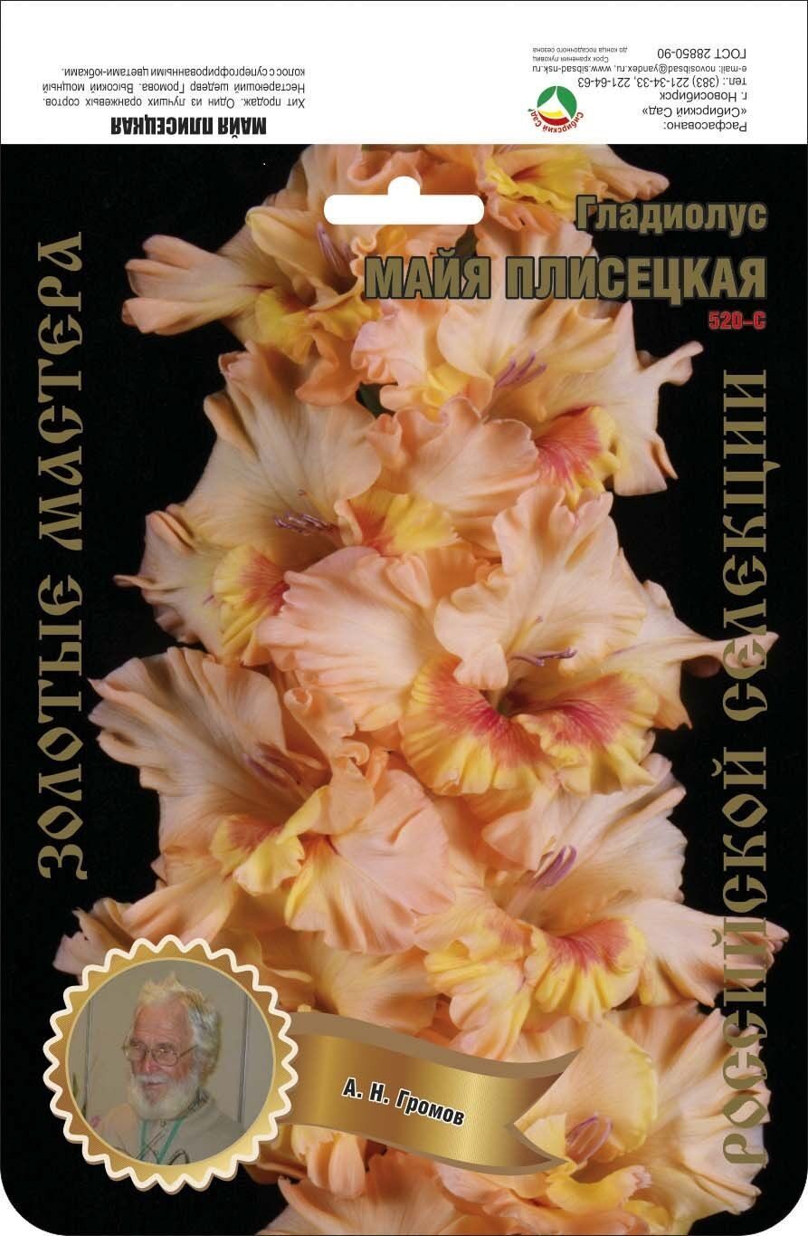 Гладиолус Майя Плисецкая 420,Громов 1 р-р 1шт (Ф)