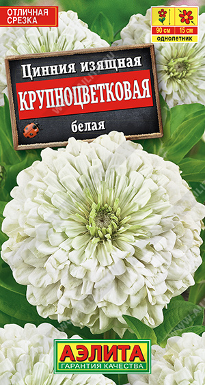 Цинния Крупноцветковая белая однолетник 0,3г (Аэлита)