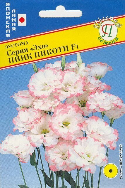 Эустома Эхо Пинк Пикоти F1 10др (Престиж)