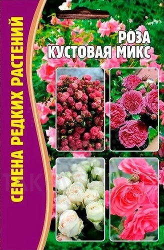 Роза Кустовая микс многолетник 10шт (Ред.сем)