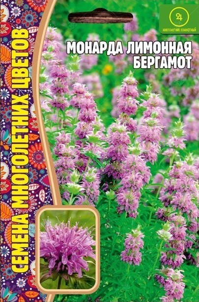 Монарда лимонная Бергамот многолетник 100шт (Ред.Сем)