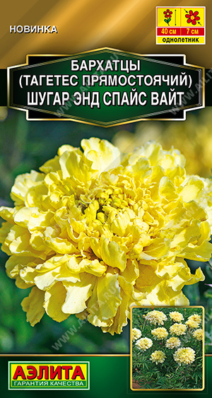 Бархатцы Шугар энд спайс вайт однолетник 10шт (Аэлита)
