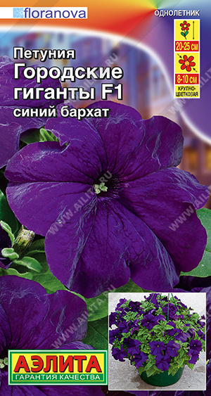 Петуния Городские гиганты F1 Синий бархат крупноцветковая 7шт (Аэлита)