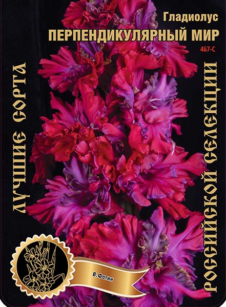 Гладиолус Перпендикулярный мир 467,Фотин 1 р-р 1шт (Ф)
