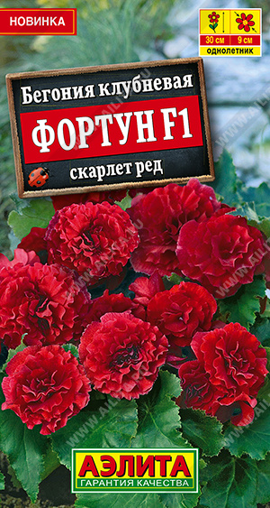 Бегония Фортун ред F1 скарлет 5шт (Аэлита)