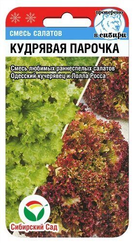 Салат Кудрявая парочка 1г (Сиб сад)