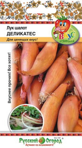 Лук Шалот Деликатес ВКУСНЯТИНА 0,2г (НК)