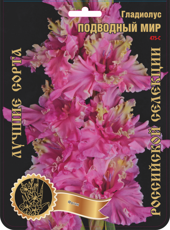 Гладиолус Подводный мир 475,Фотин 1 р-р 1шт (Ф)