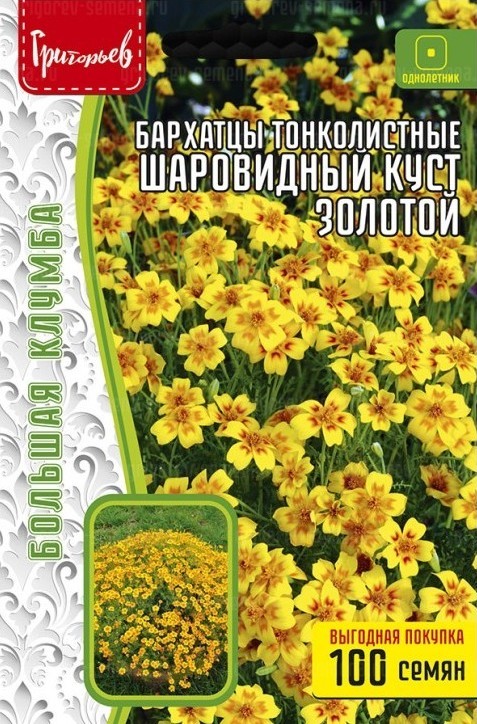 Бархатцы Шаровидный куст золотой тонколистный большая клумба 100шт (Ред.Сем)