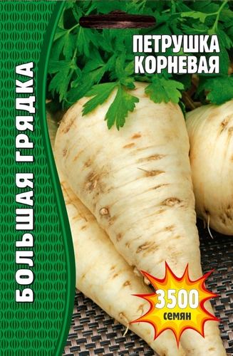 Петрушка Корневая Большая грядка 3500шт (Ред.сем)