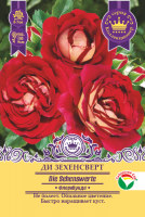 Роза Ди Зехенсверт (Флорибунда) 1шт (Сиб сад)