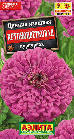 Цинния Крупноцветковая пурпурная однолетник 0,3г (Аэлита)