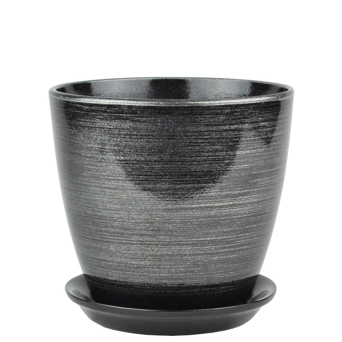 Бутон Черное серебро 2л 15см РС28/2 (СА)            