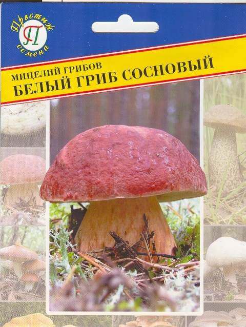 Мицелий Грибов Белый сосновый 50мл (Престиж)