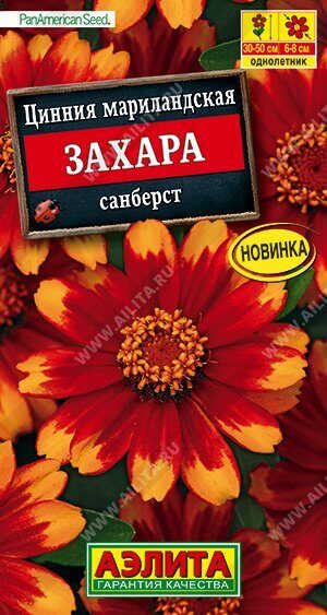 Цинния Захара Санберст однолетник 5шт (Аэлита)