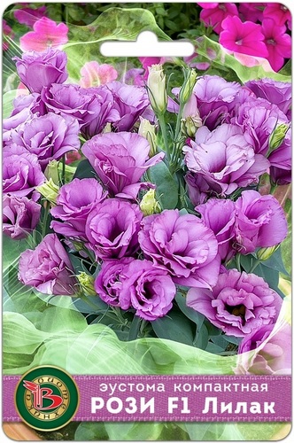 Эустома РОЗИ F1 Лилак низкорослая однолетник 5шт (Биотехника)