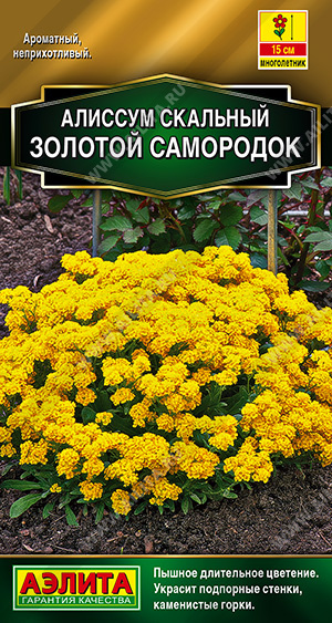 Алиссум Золотой самородок многолетник 0,05г (Аэлита)