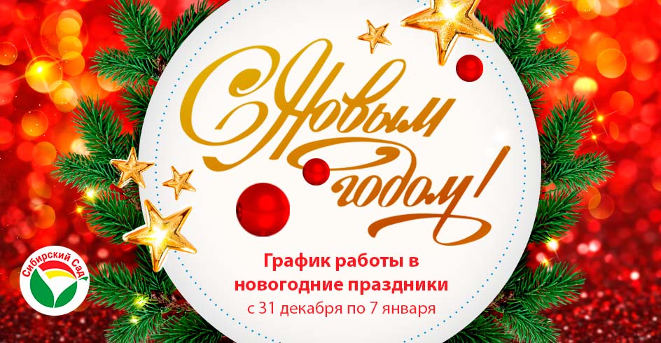 График работы на новогодние праздники