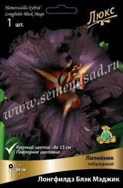 Лилейник Лонгфилдз Блэк Мэджик 1шт (Поиск)