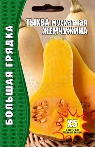 Тыква Жемчужина мускатная Большая грядка 20шт (Ред.сем)