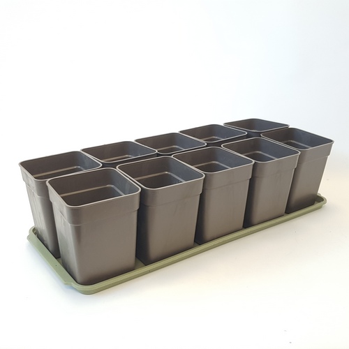 Рассадник 0,7л 10 стаканов + поддон (Симаев)(10шт)