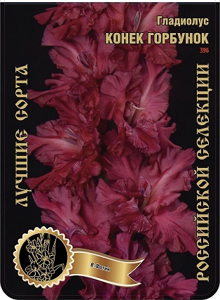 Гладиолус Конек Горбунок 396,Фотин 1 р-р 1шт (Ф)
