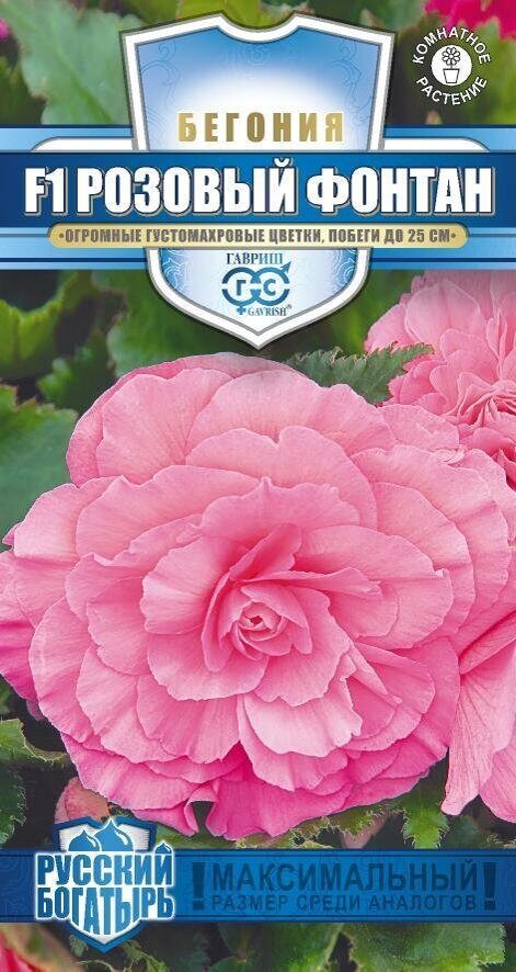 Бегония Розовый фонтан F1 Русский богатырь 4шт (Гавриш)
