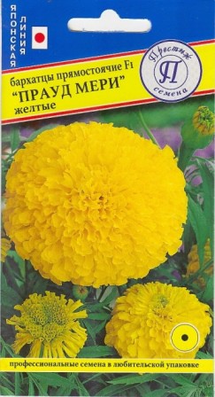 Бархатцы ПРАУД МЭРИ Желтые однолетник 5шт (Престиж)