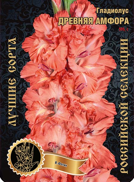 Гладиолус Древняя Амфора 595,Фотин 1 р-р 1шт (Ф)