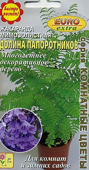 Жакаранда Долина папоротников мимозолистная   (Аэлита)