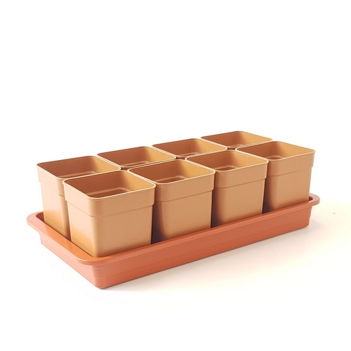 Рассадник 0,9л 8 стаканов + ящик 3л (Симаев)(10шт)