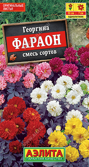 Георгина Фараон смесь 0,3г (Аэлита)