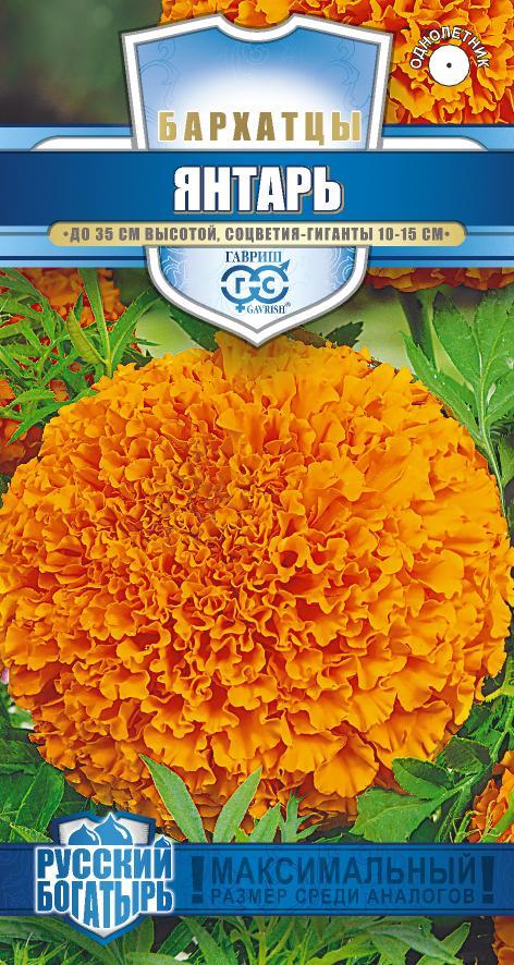 Бархатцы Янтарь Русский богатырь однолетник 0,1г (Гавриш)